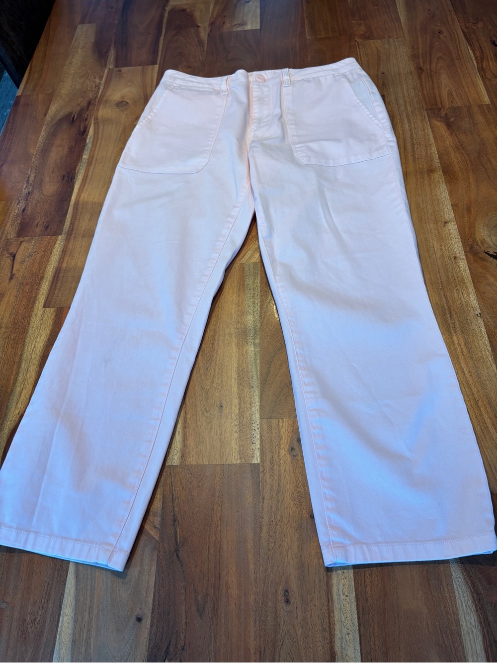 Sanctuary Straight Leg Utility Pants - Size 26